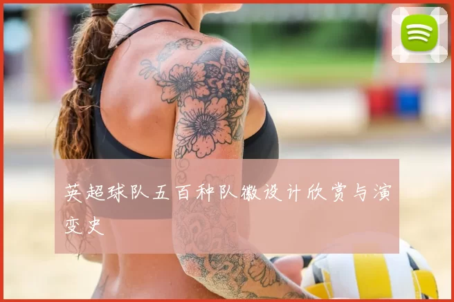 英超球队五百种队徽设计欣赏与演变史