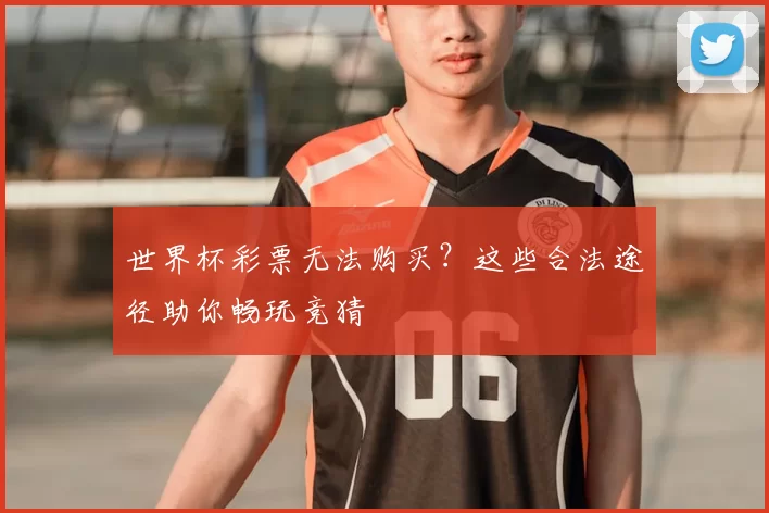 世界杯彩票无法购买?这些合法途径助你畅玩竞猜