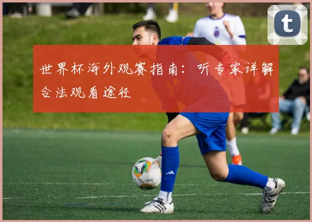 世界杯海外观赛指南:听专家详解合法观看途径