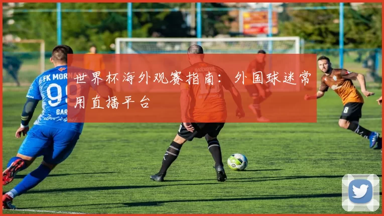 世界杯海外观赛指南:外国球迷常用直播平台