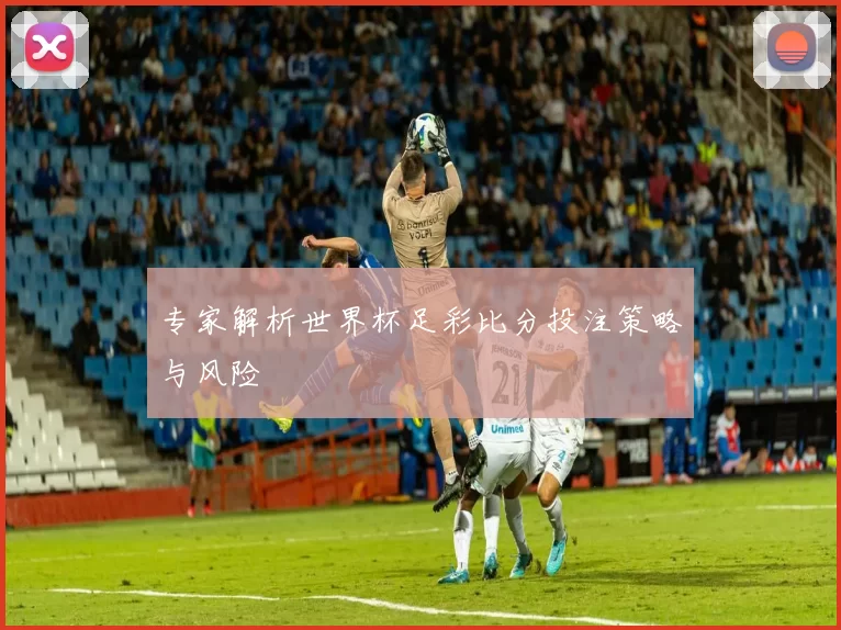 专家解析世界杯足彩比分投注策略与风险