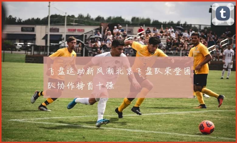 飞盘运动新风潮北京飞盘队荣登团队协作榜首十强