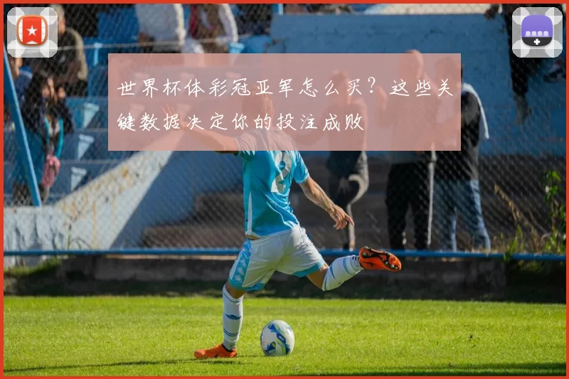 世界杯体彩冠亚军怎么买?这些关键数据决定你的投注成败