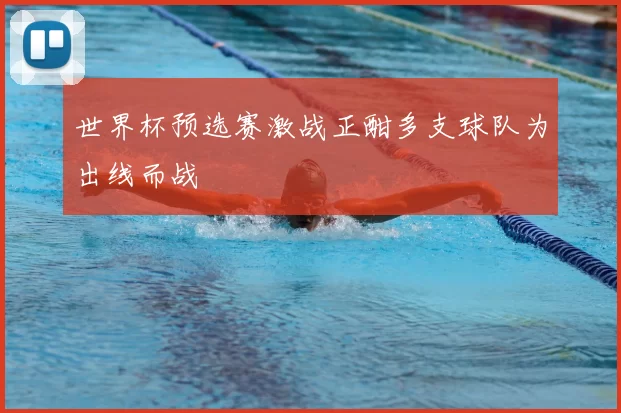 世界杯预选赛激战正酣多支球队为出线而战