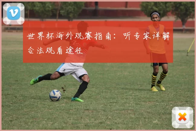 世界杯海外观赛指南：听专家详解合法观看途径
