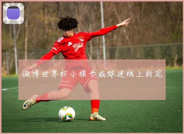 微博世界杯小旗子成球迷线上新宠