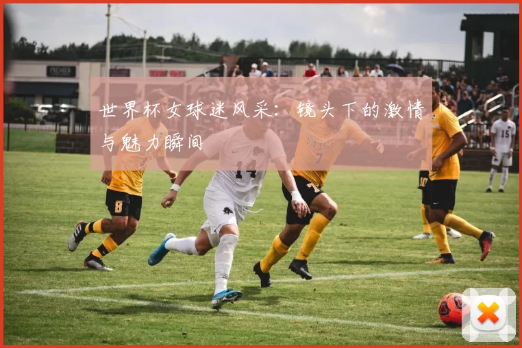 世界杯女球迷风采:镜头下的激情与魅力瞬间