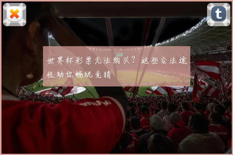 世界杯彩票无法购买?这些合法途径助你畅玩竞猜