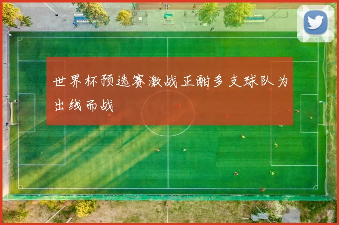 世界杯预选赛激战正酣多支球队为出线而战