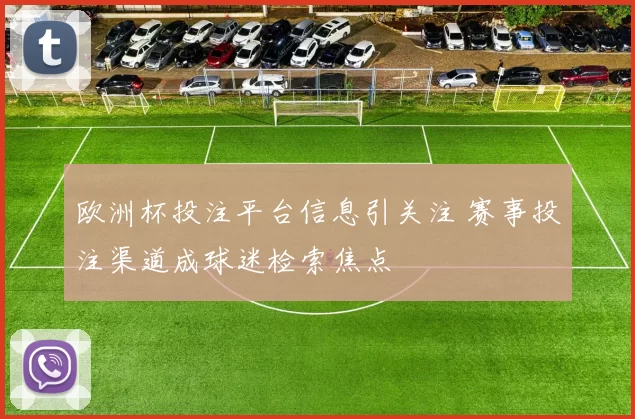 欧洲杯投注平台信息引关注 赛事投注渠道成球迷检索焦点