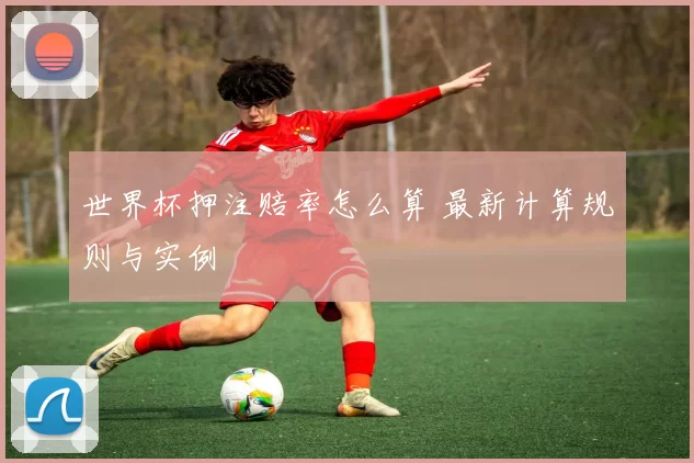 世界杯押注赔率怎么算 最新计算规则与实例