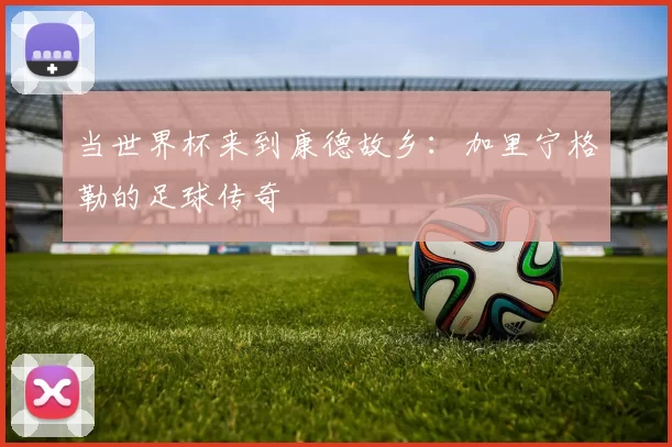 当世界杯来到康德故乡:加里宁格勒的足球传奇